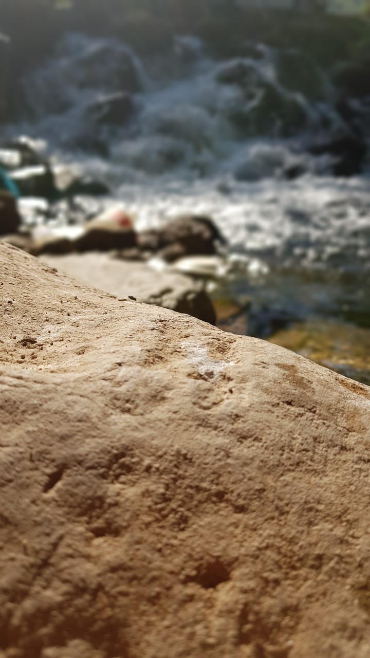 selictive focus