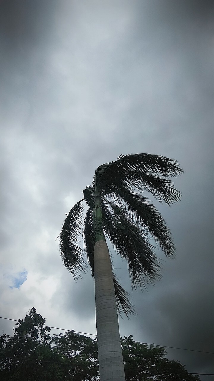 wind & dark clouds