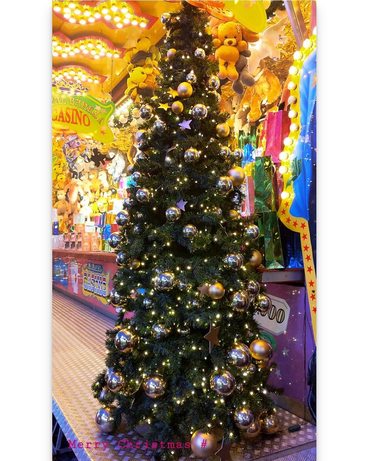 Christmas#holiday# tree#green#love