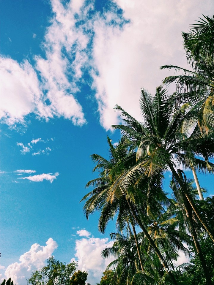 #blue#sky#nature#