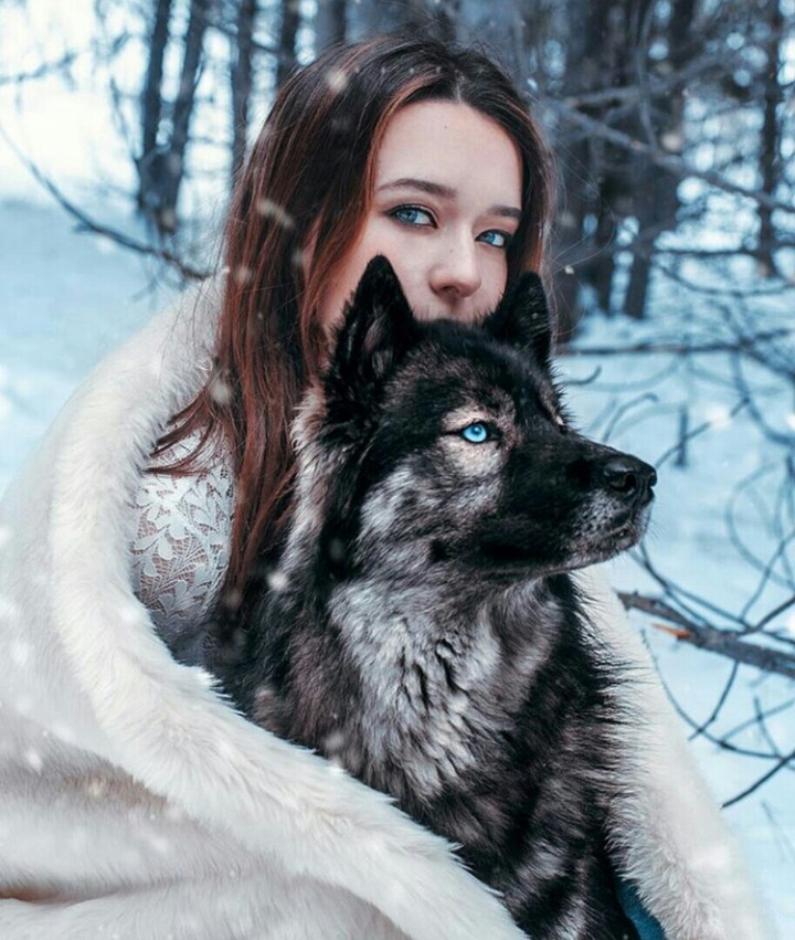 Хаски