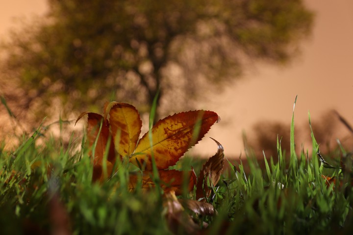 Magic autumn 5:00
