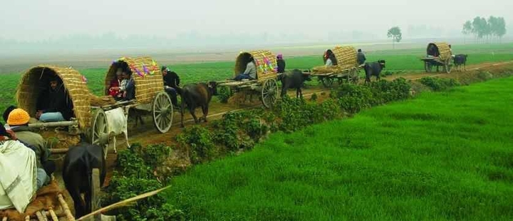Bangladesh