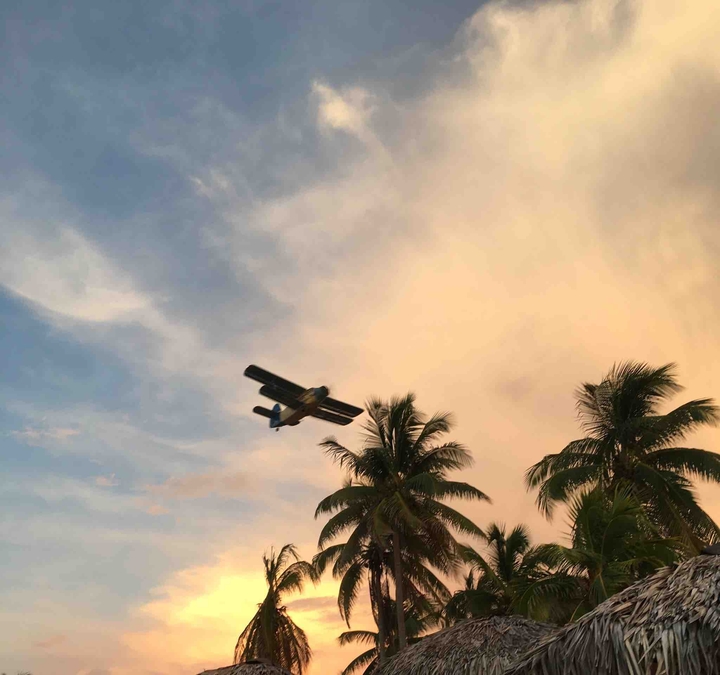 Airplane in sunset