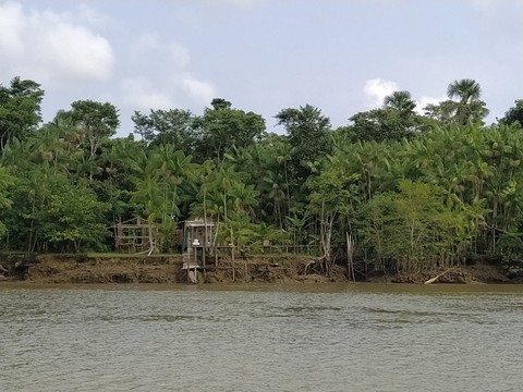 Ribeirinho's Place