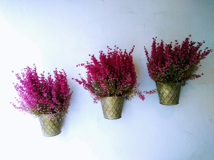 Oslo flowers