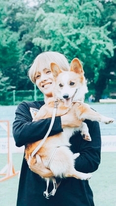 v