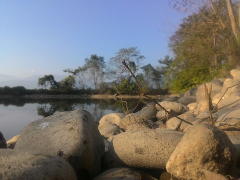 River Side