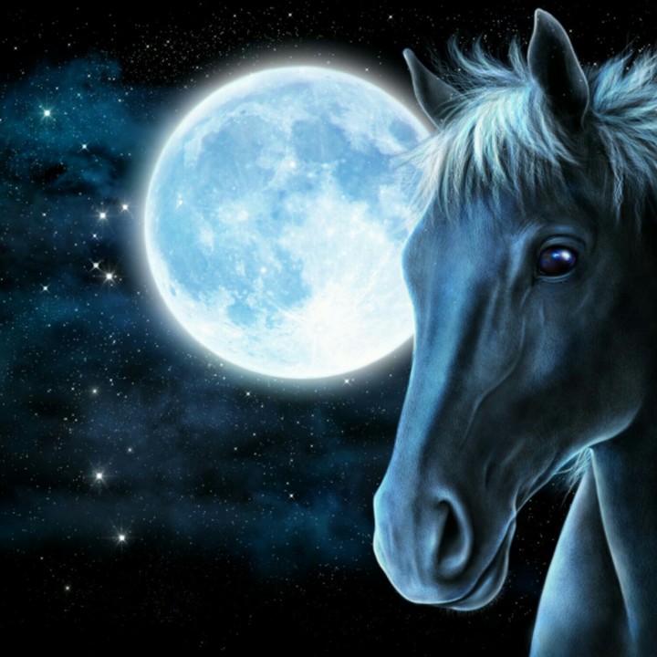 Horse and the Moon