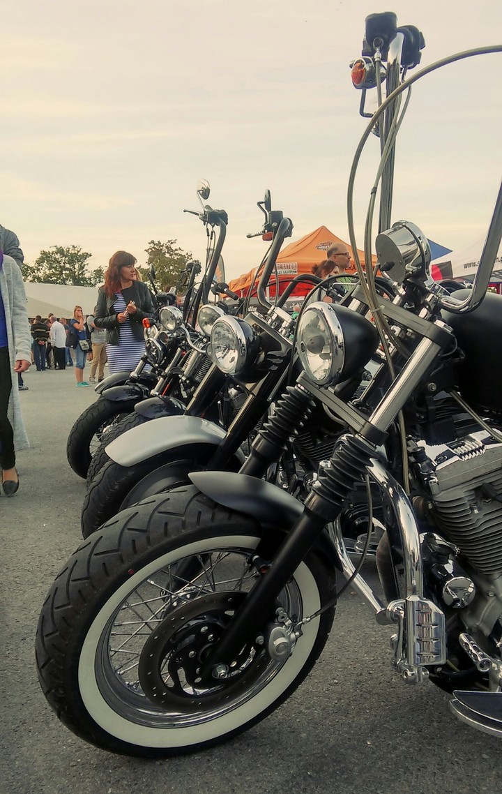 Harley Davidson
