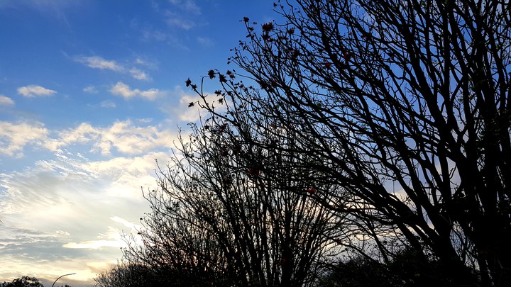 afternoon