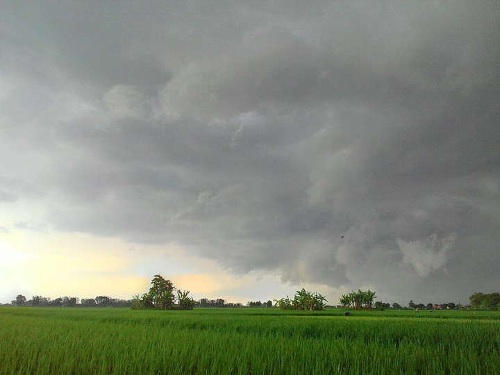 field in indonesian