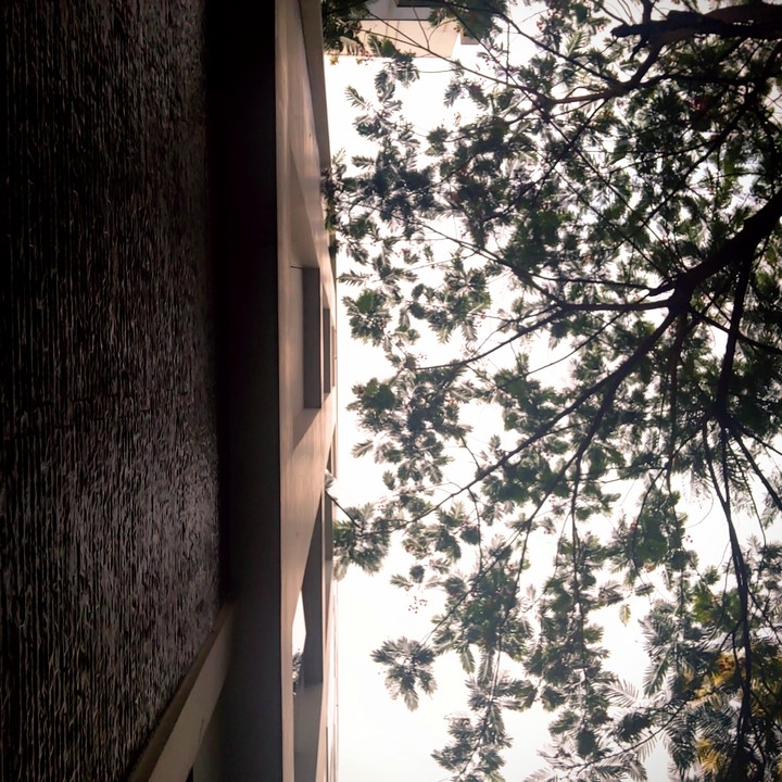 random short