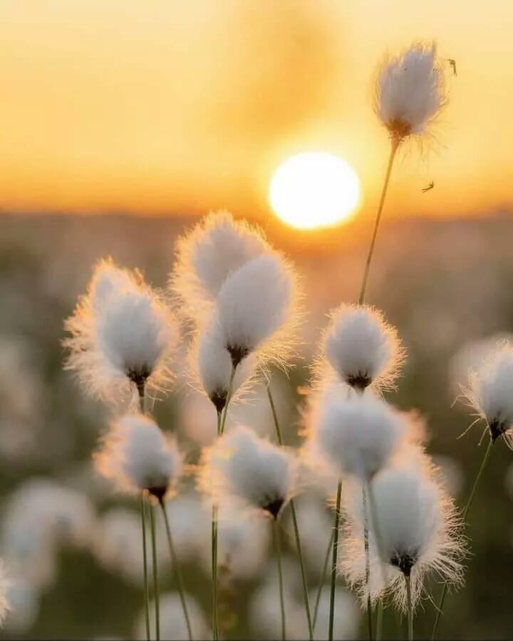 ☺️☺️☺️