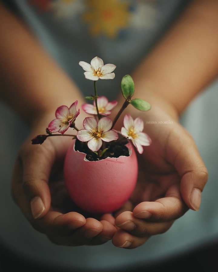 Spring flowers