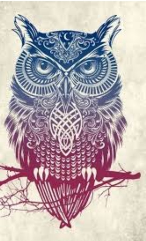 Hibou