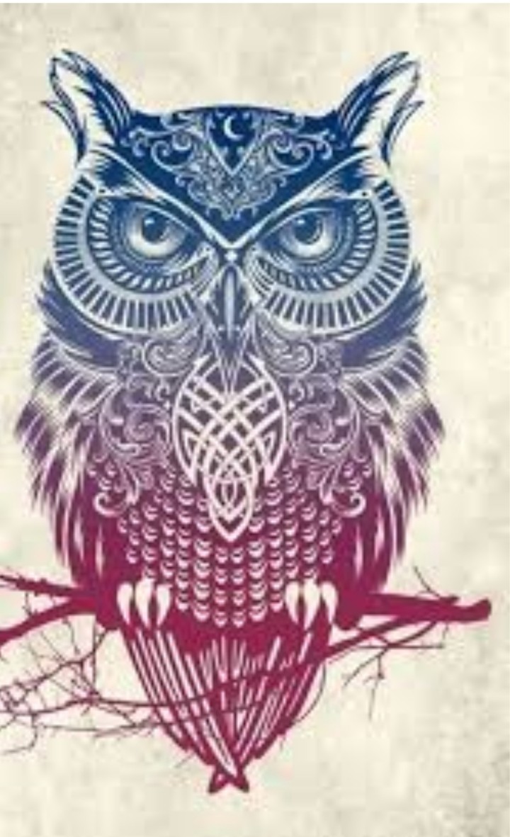 Hibou
