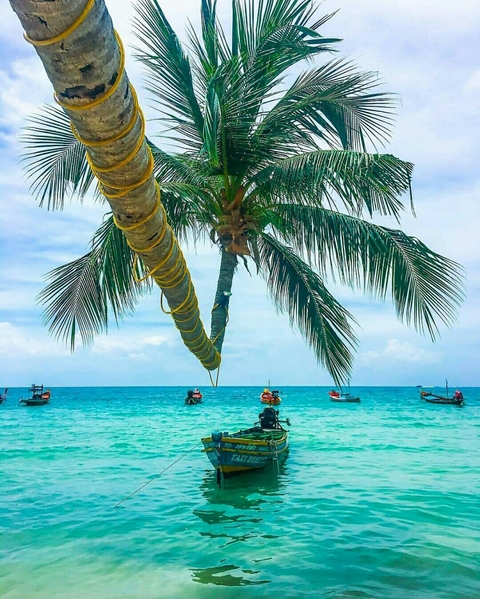 шпалери caribbean, Thailand
