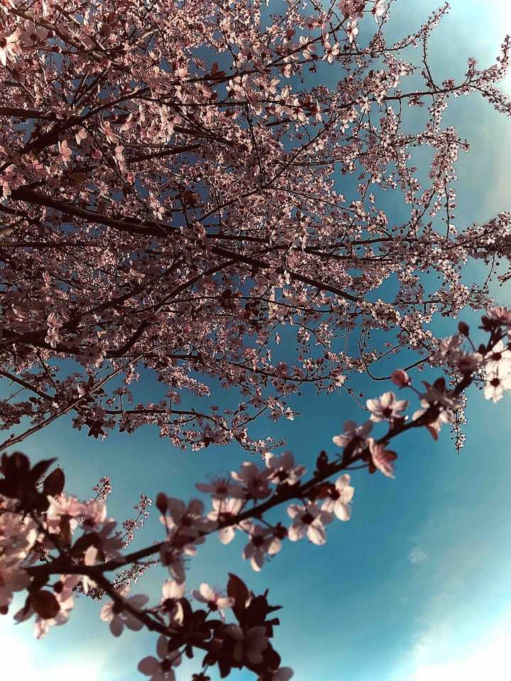 Spring is coming.