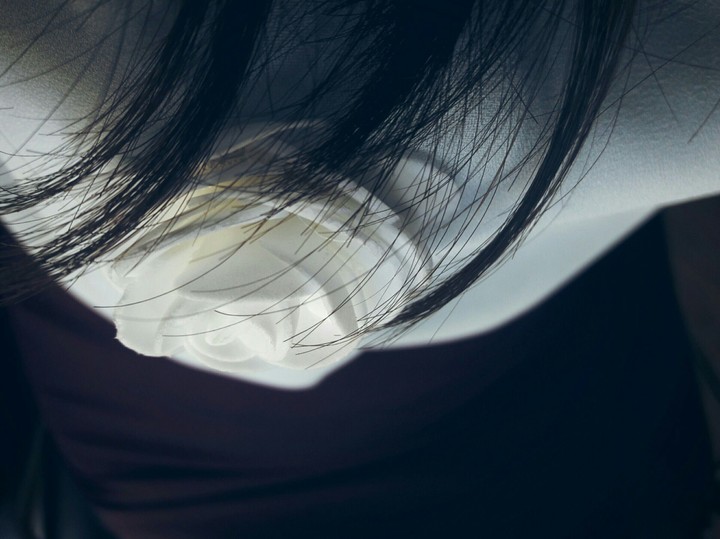 Hairs on the white rose