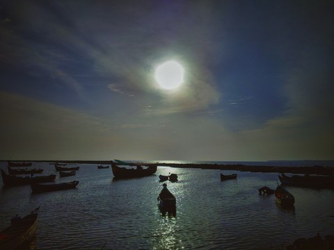 Harbor Koyilandi