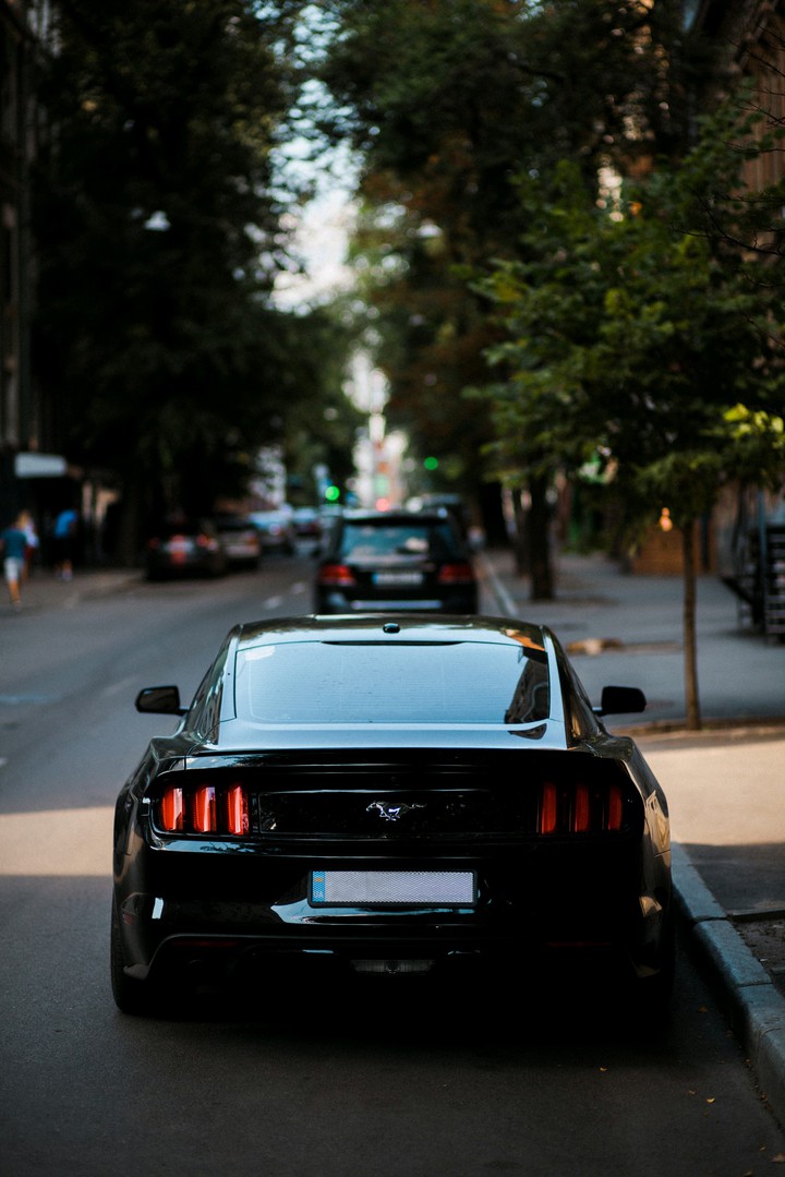 mustang