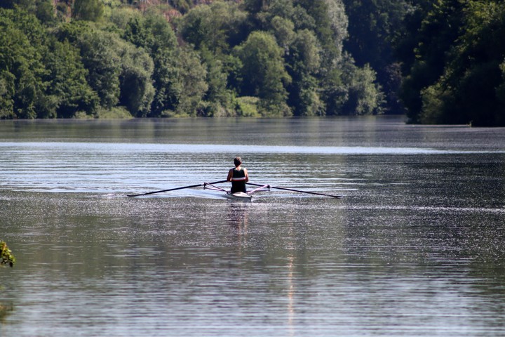 Ruderer auf dem Neckar