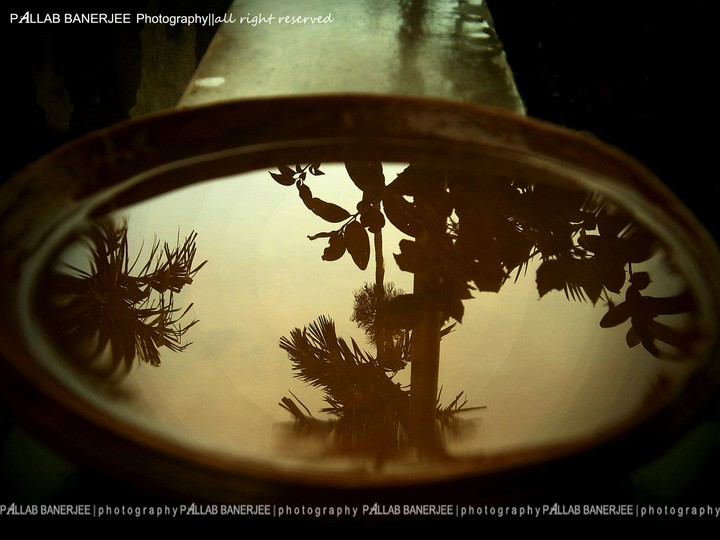 Reflection