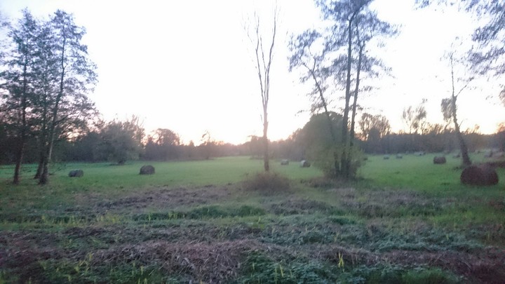 Spreewald im Herbst zur Abenddämmerung