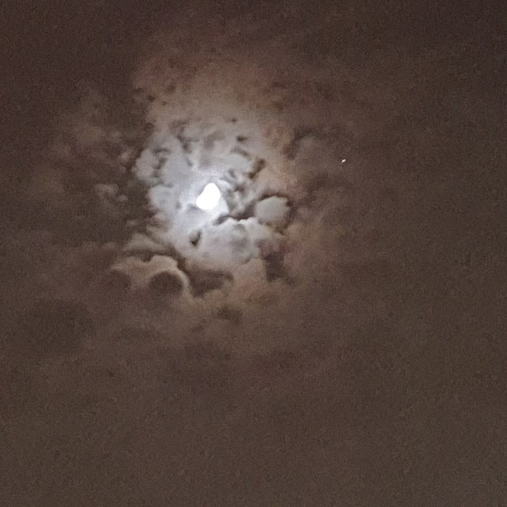 용 형상