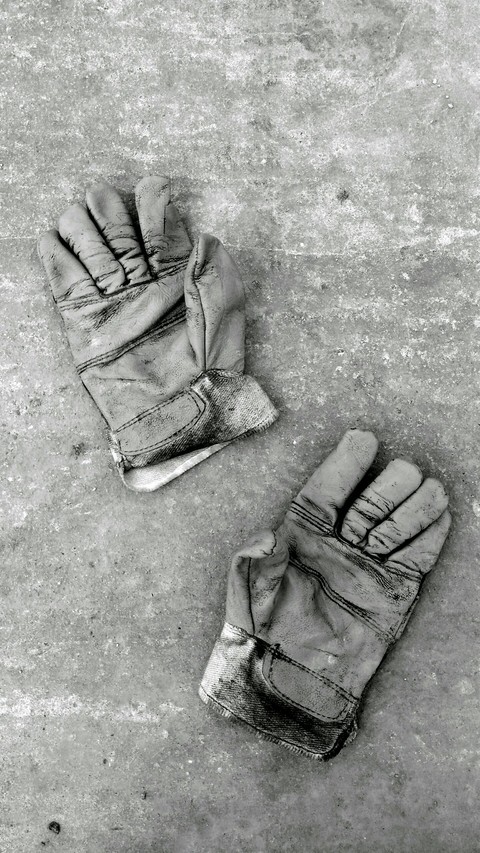 Gloves