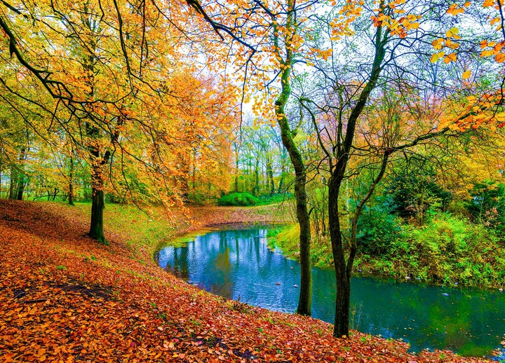 Autumn in the park