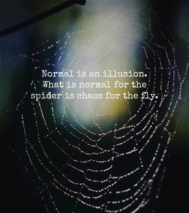 true-life