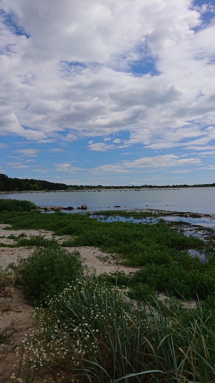 Midsommar in Hällevik Sweden