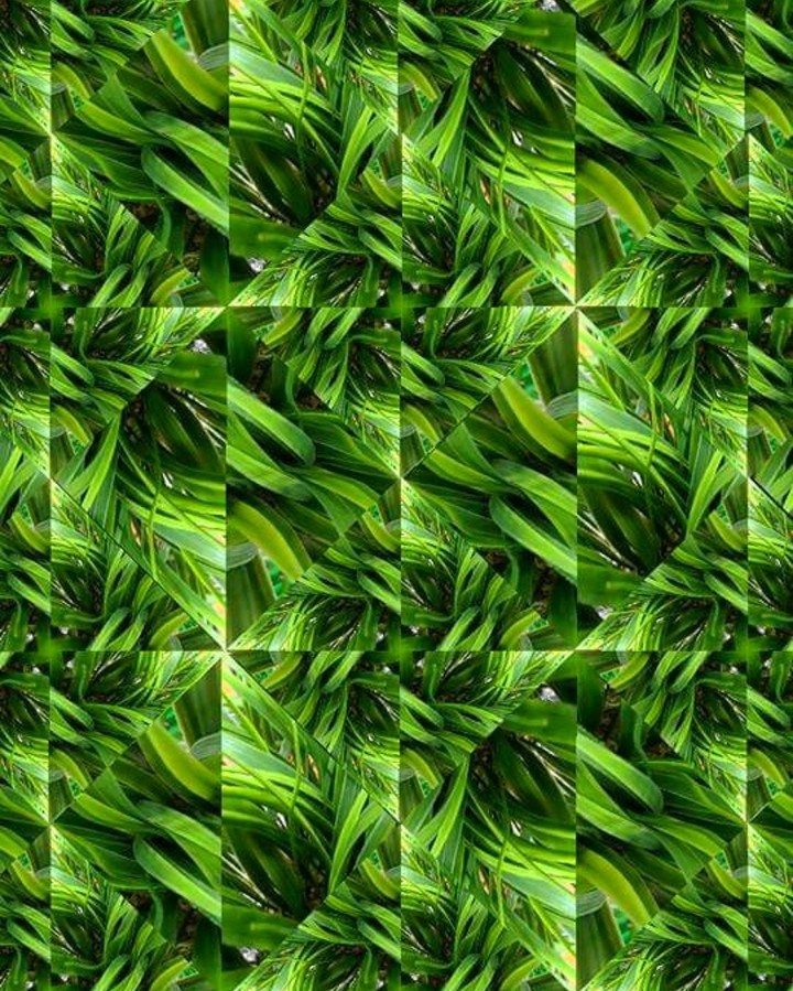 Fake grass plant kaleidoscope