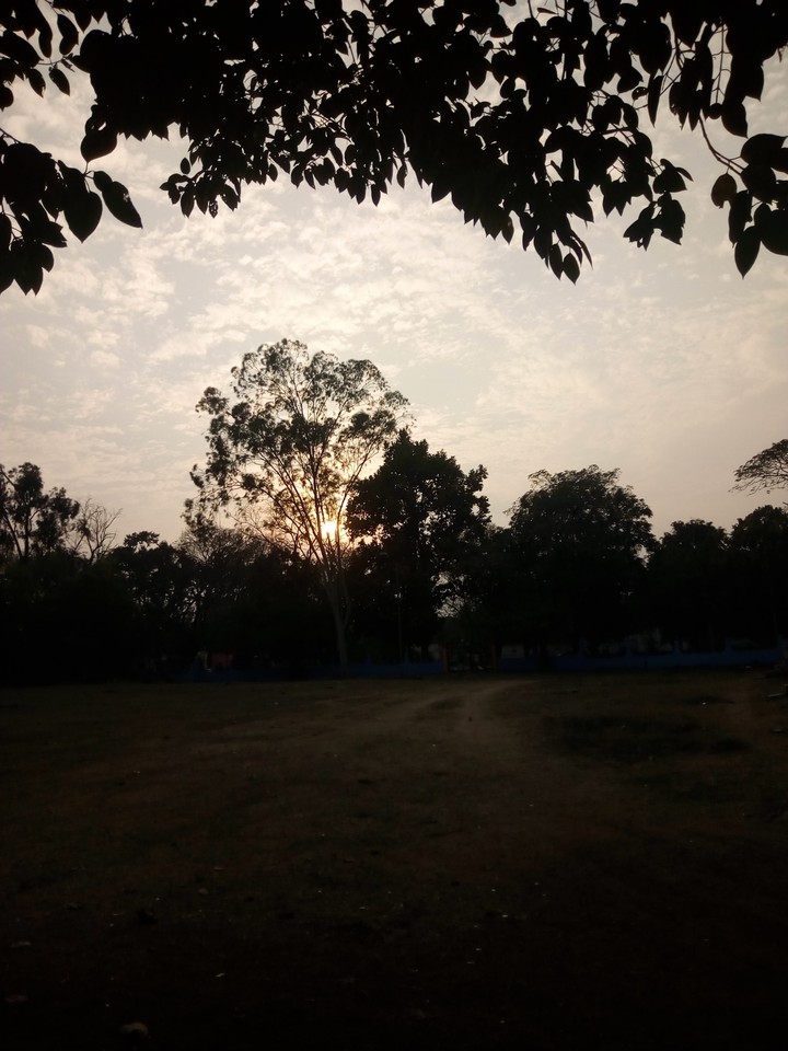 beautiful sunset