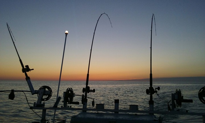 Fishing sunrise