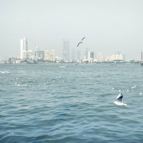alibaug darga Mumbai, India