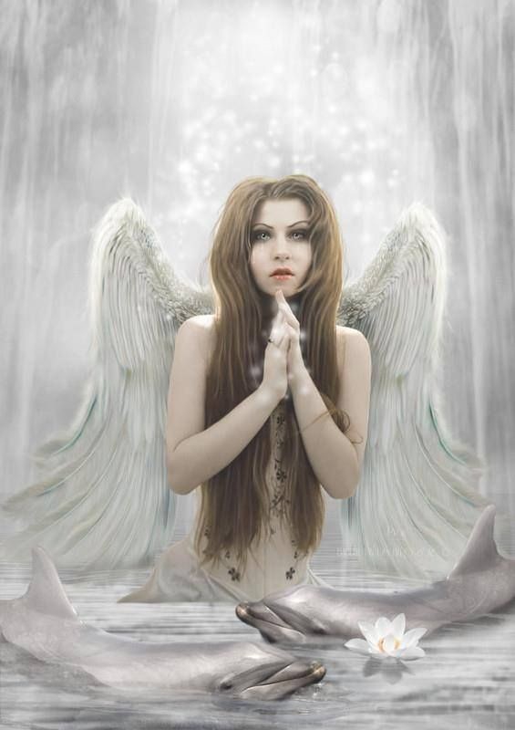 ANGELES