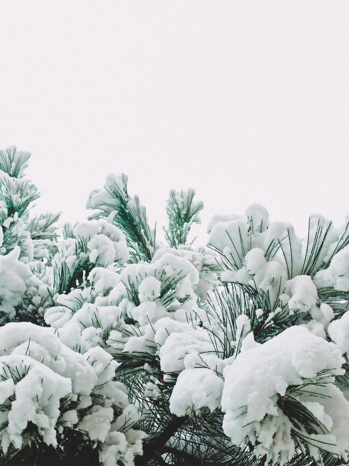 let it snow