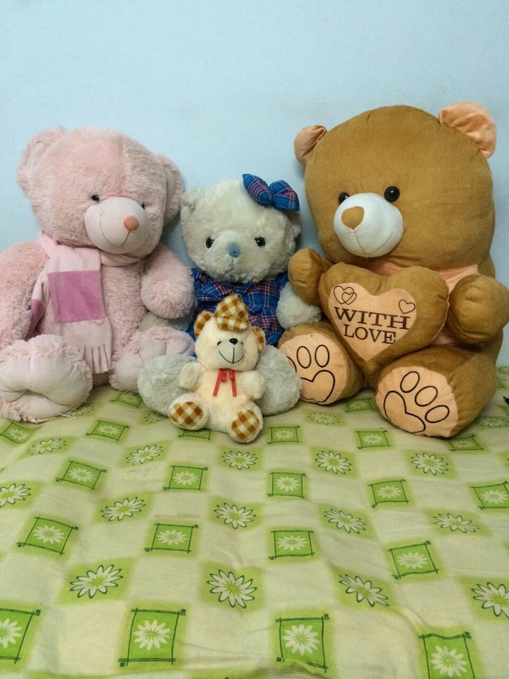 Cedar with Sony, Bunty and Small teddy..