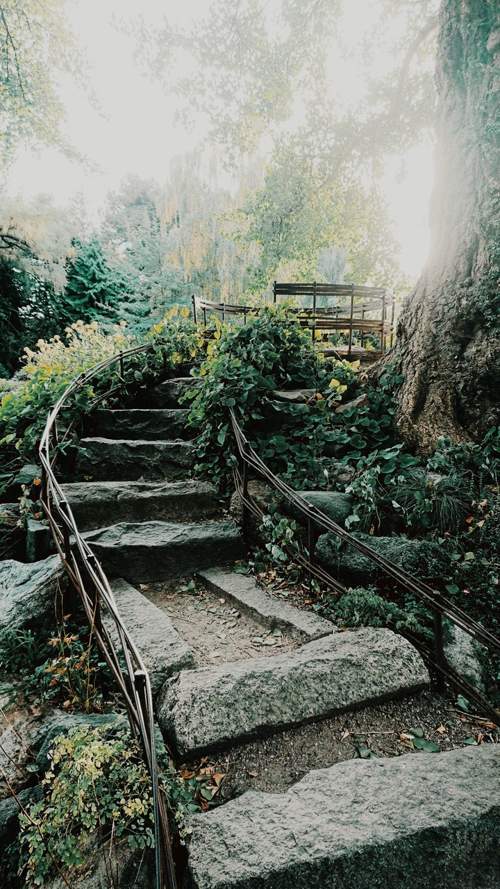 come with me