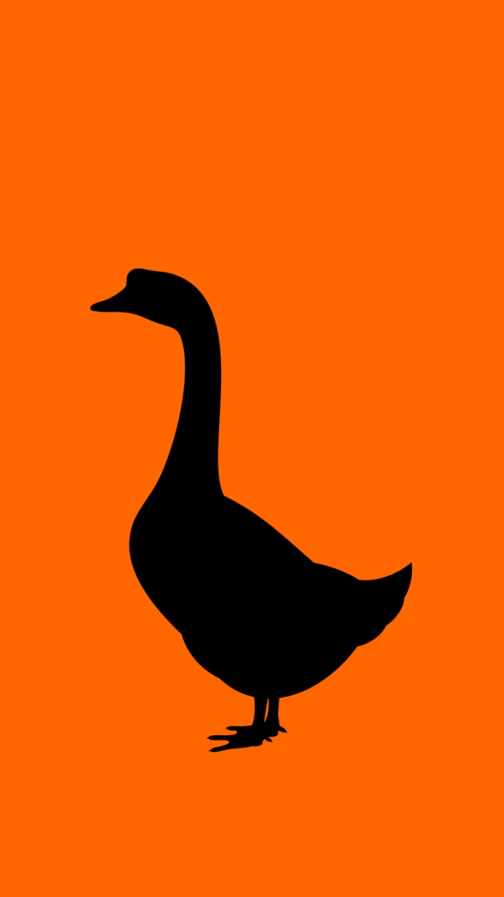 goose