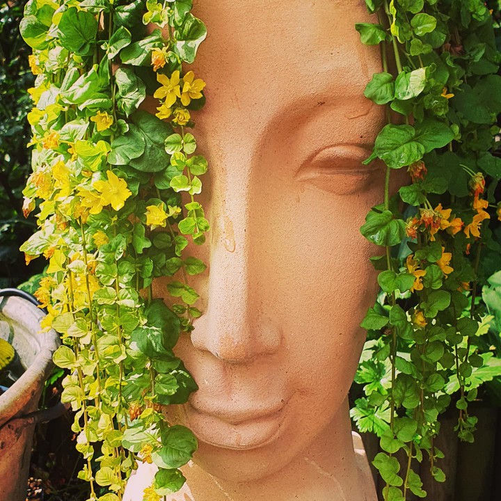 garden love