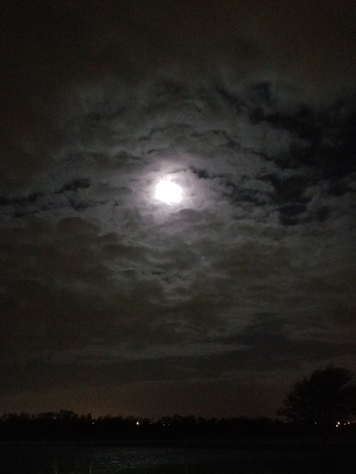 Moon