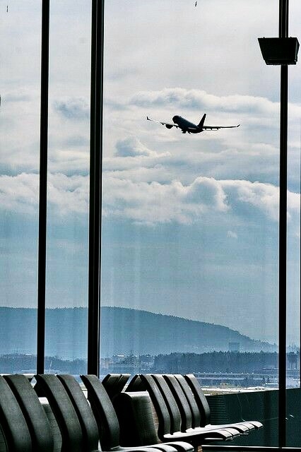 Fly away