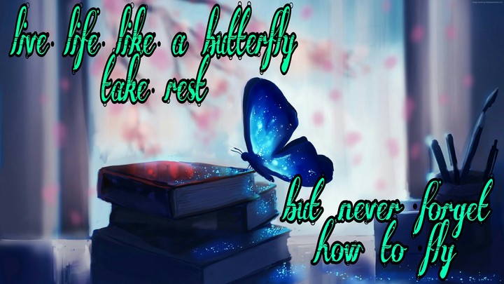 butterfly
