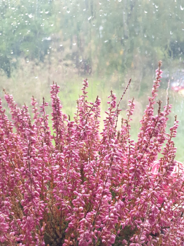 weekend and rain