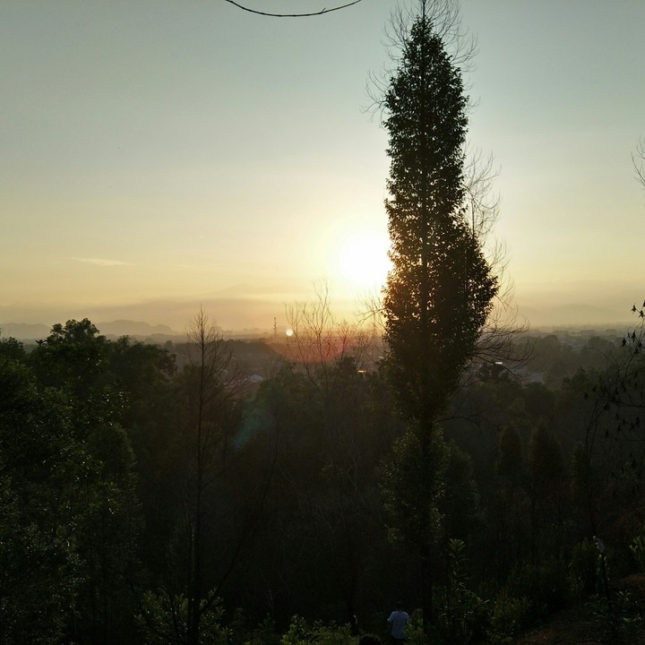 good morning