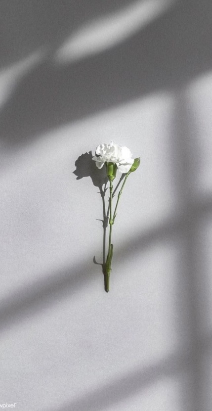 white flower
